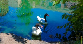 Hotel-Review-Resort-Travel-DoubleTree-by-Hilton-Hotel-and-Spa-Napa-Valley-American-Canyon-FI