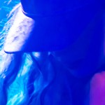 The Ting Tings at Harlow's Restaurant & Nightclub | Sacramento, California | 1/24/2015 (Concert Review + Photos)